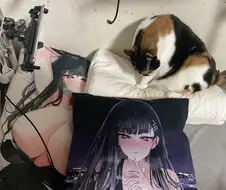 진짜 개양아치네 이거