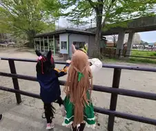 [우마무스메] 키토사토 코스프레