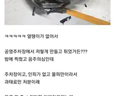 난리난 물피도주.jpg