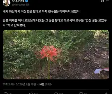 씹덕들한테 이름 말하는 모르는 꽃