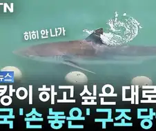 부캉이 아쿠아리움 개장.jpe