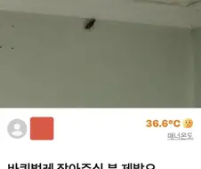 설마 남자는 아니겠지…?