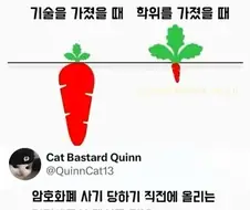 기술을 가졌을 때와 학위를 가졌을 때 차이
