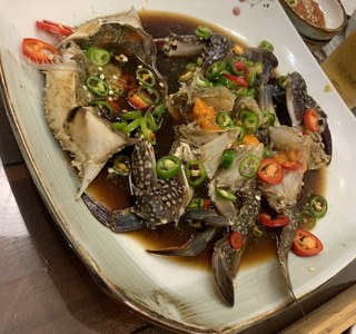 [성우] 내한 국룰 준수중인 성우