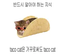 반드시 알아야 하는 지식