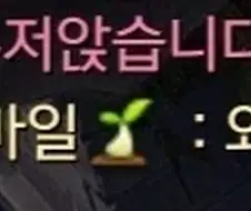 로아 뉴비 채팅 대참사.jpg