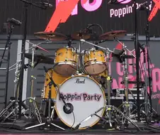 뱅드림) 사아야의 실제 드럼장비 스펙.gif