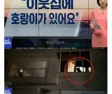 그림자 보고 집에 호랑이 있다고 신고
