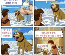 반려견이 마중나오는.manga
