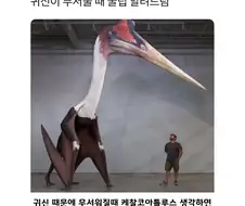 귀신이 무서울때 꿀팁 알려드림