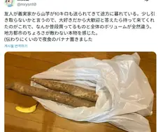 친구가 나눠준 참마 크기가 심상치않음.jpg