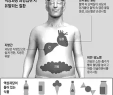 액상과당이 우리몸에 끼치는 영향들
