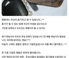 혐)해병비문학