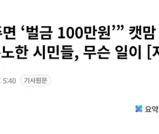 “고양이 밥 주면 ‘벌금 100만원’” 캣맘 금지법, 정식 논의된다