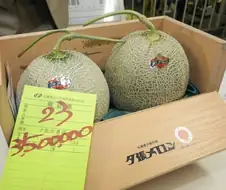 "센비키야의 메론이 먹고 싶소..."
