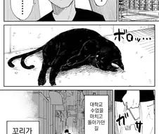 은혜갚는 나비.manhwa