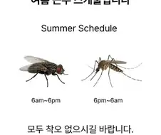 슬슬 거리낌없이 양지로 기어나오는 벌레들