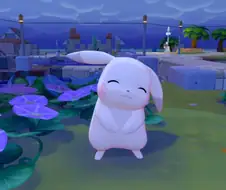 포코피아)오 나도 드디어 만났다.