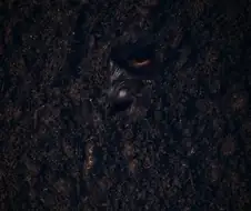 파묘 보다가 애니 덕후라 몰입에서 잠시 빠졌던 순간