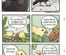 짹짹짹 만화