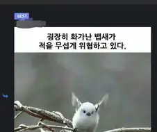 ??? : 소개팅 상대방이 나한테 호감이 있데!