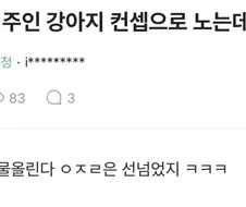 도그플 할때 하면 안되는거