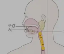 이론산 생존 가능