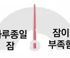니들 라이프 스타일