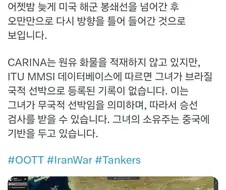 카리나 미국 재무부에서 제제 대상 지정