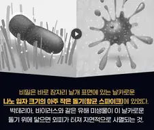 세균을 칼로 베고 찢어서 살균하는 생물