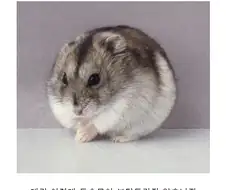 추천 좀 주십쇼