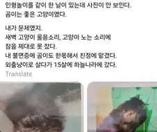 고양이 때문에 불면증 생겼다는 아줌마