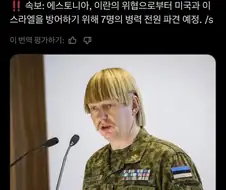 스카이림 바닐라캐에 모드 머리카락 같음