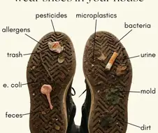 집안에 신발 신고 들어오는 양놈들이 꼭 명심해야 할 지식