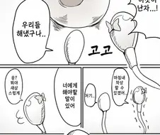 1등밖에 없는 최후의 고지앞에 고백하는 만화.manga
