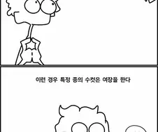 알쏭달쏭한 동물의 성관계 방법.Manhwa