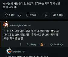 스핑크스 고양이의 비밀