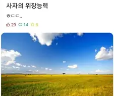 사자의 위장 능력.jpg