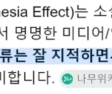 ＇겔만 기억상실 효과＇