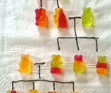 하리보 젤리의 족보