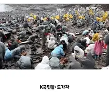 바다복구 20년 생태계복구100년 본 사건