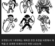 포켓몬 채찍 조련은 폐기되었지만