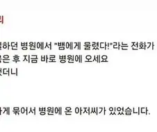 "하이고 이것도 생명인디 의사 양반이 참 너무허네."