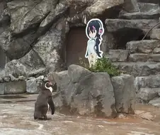 죽고나서 성공한 오타쿠