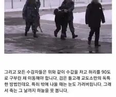 러시아에서 악명 높다는 검은 돌고래 교도소.jpg
