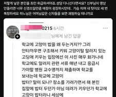 고양이 알러지 있는 자식을 둔 엄마한테 혐성질하는 캣맘