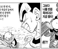 드래곤볼) 베지터의 완벽한 계획