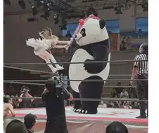 일본 레슬링 뽕망치로 거대곰돌이 떄리는 짤 최신 업뎃.jpg