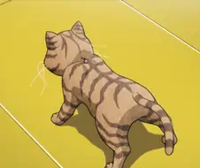 히로아카]동물도 개성을 쓸수 있구나