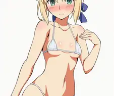 Fate)AI)후방) 마이크로비키니 세이버